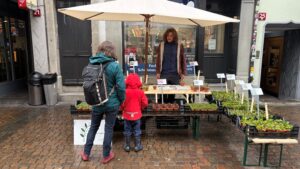 Dolge Raritätengärtnerei